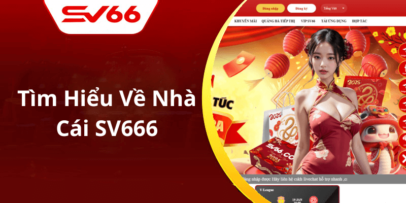 Tại Sao Nên Lựa Chọn SV66?
