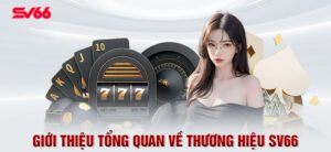 tổng quan nhà cái SV66
